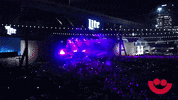 party dancing GIF by Summerfest