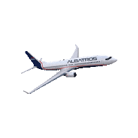 Albatrosairve venezuela airlines aerolinea maracay Sticker