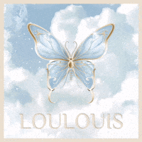 Loulouis butterfly blue butterfly loulouis GIF