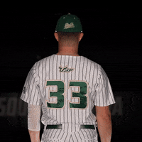 South Florida Baseball GIF by USF Athletics