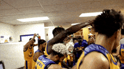 Sjsu Spartanup GIF by San Jose State Spartans