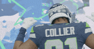 American Football GIF by Seattle Seahawks
