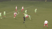 goal wolves GIF by VfL Wolfsburg