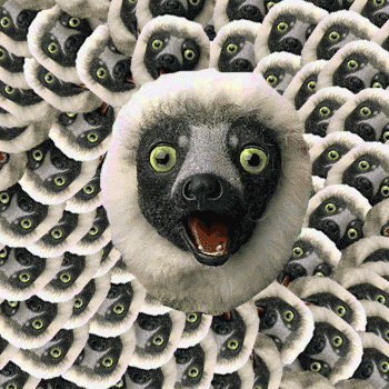 lemur terrifying GIF