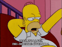 homer simpson GIF