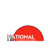 Road Safety Sticker by SADD NZ