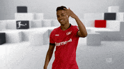 Waving Come On GIF by Bundesliga
