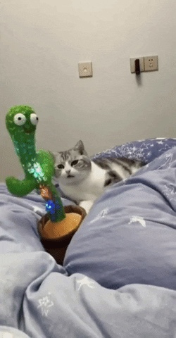 QueroModerno giphyupload GIF