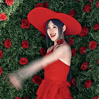 K Pop Cutie GIF