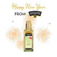Fireworks Champagne Sticker by International Collection