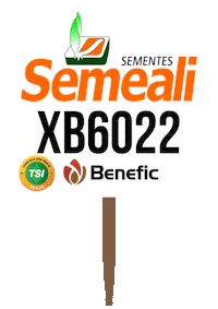 Semeali Sticker by semealisementes