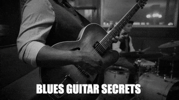 guitarjamz  GIF