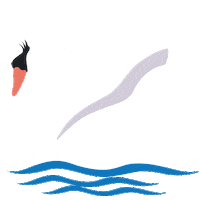 True North Swimming Sticker by City of Kitchener