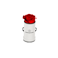 Roses Sticker by Ta Surprise