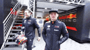 red bull test GIF by Red Bull Racing