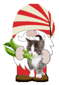 My Pet Cat Sticker