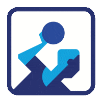 bmSinFin logo handball balonmano asobal Sticker