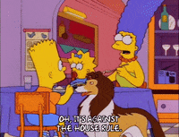 bart simpson episode 20 GIF