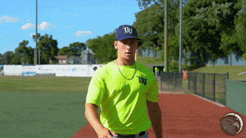 uppervalleynighthawks valley talonsup upper nighthawks GIF