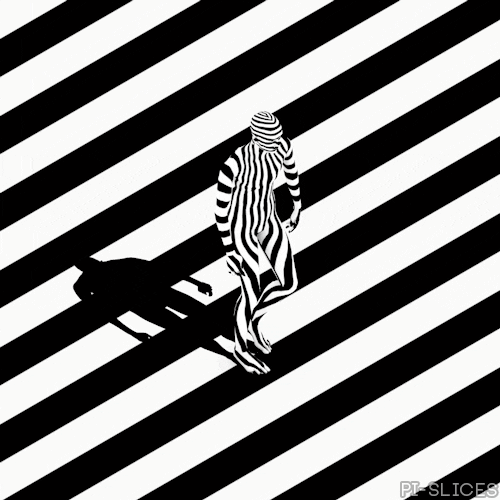 black and white loop GIF by Pi-Slices