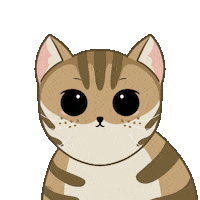 Cat Sticker
