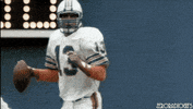 Miami Dolphins Football GIF