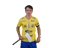 Floorball Sticker by Český florbal