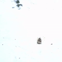 Looking Mt Hood GIF by Four Rest Films