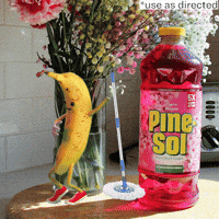 Banana Dancing GIF by Pine-Sol