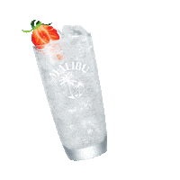 Happy Hour Cheers Sticker by Malibu Rum