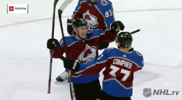 ice hockey hug GIF by NHL