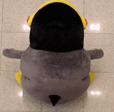 jagn giphyupload GIF