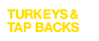 Thanksgiving Cycling Sticker by SoulCycle