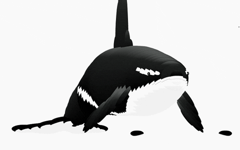 orca warp GIF