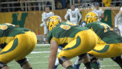 north dakota state football GIF by NDSU Athletics