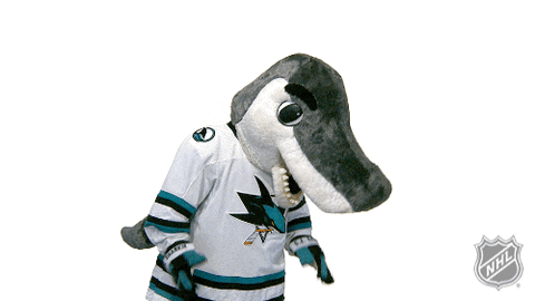 Ice Hockey Sport GIF by NHL