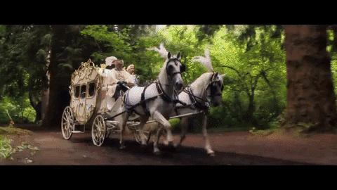 fahimzahar giphygifmaker GIF