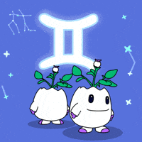 May Happy Birthday GIF by Magic Eden