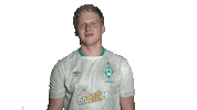 esports werderesports Sticker by SV Werder Bremen