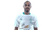 esports moauba Sticker by SV Werder Bremen