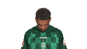 Look Up Werder Bremen Sticker by Bundesliga