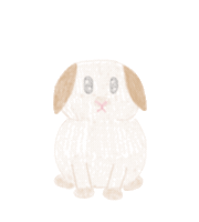 Bunny Rabbit Sticker