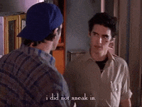 season 3 netflix GIF by Gilmore Girls 