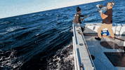 Wicked Tuna Boat GIF by National Geographic Channel