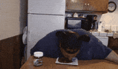 fan nutella GIF