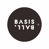 BasisBall basisball GIF