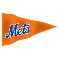 Ny Mets Baseball Sticker by New York Mets