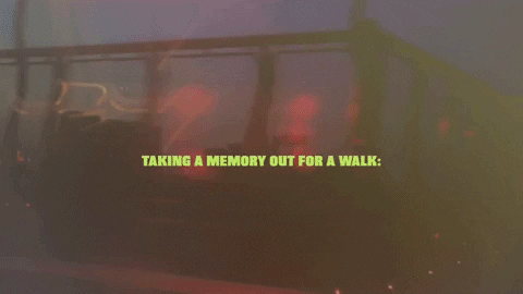 aleydarocha giphyupload GIF