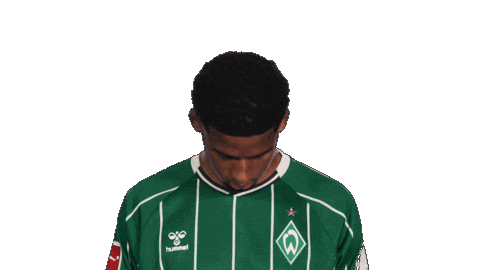 Werder Bremen Musah Sticker by Bundesliga