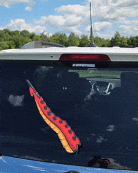 Dragon GIF by WiperTags Wiper Covers